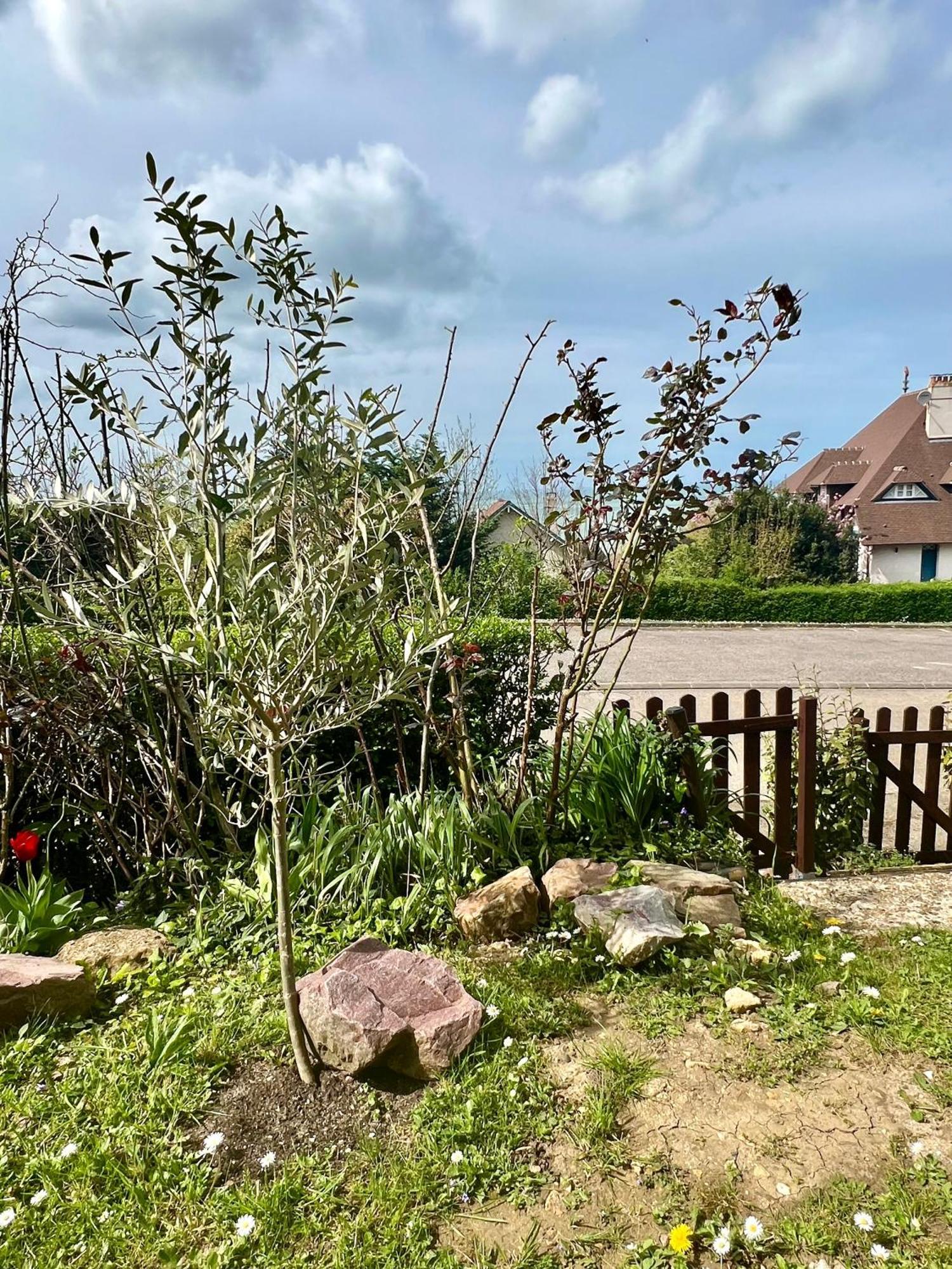 Grand Rez De Jardin-Terrasse Avec Vue Sur La Mer - 2 Chambres Blonville-sur-Mer Buitenkant foto